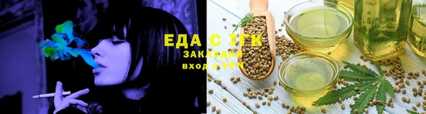тгк Алексин