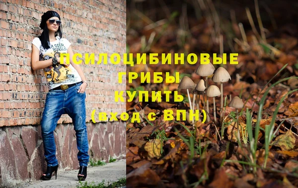 гидра Валдай