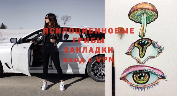 тгк Алексин