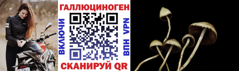 Галлюциногенные грибы Magic Shrooms Любань